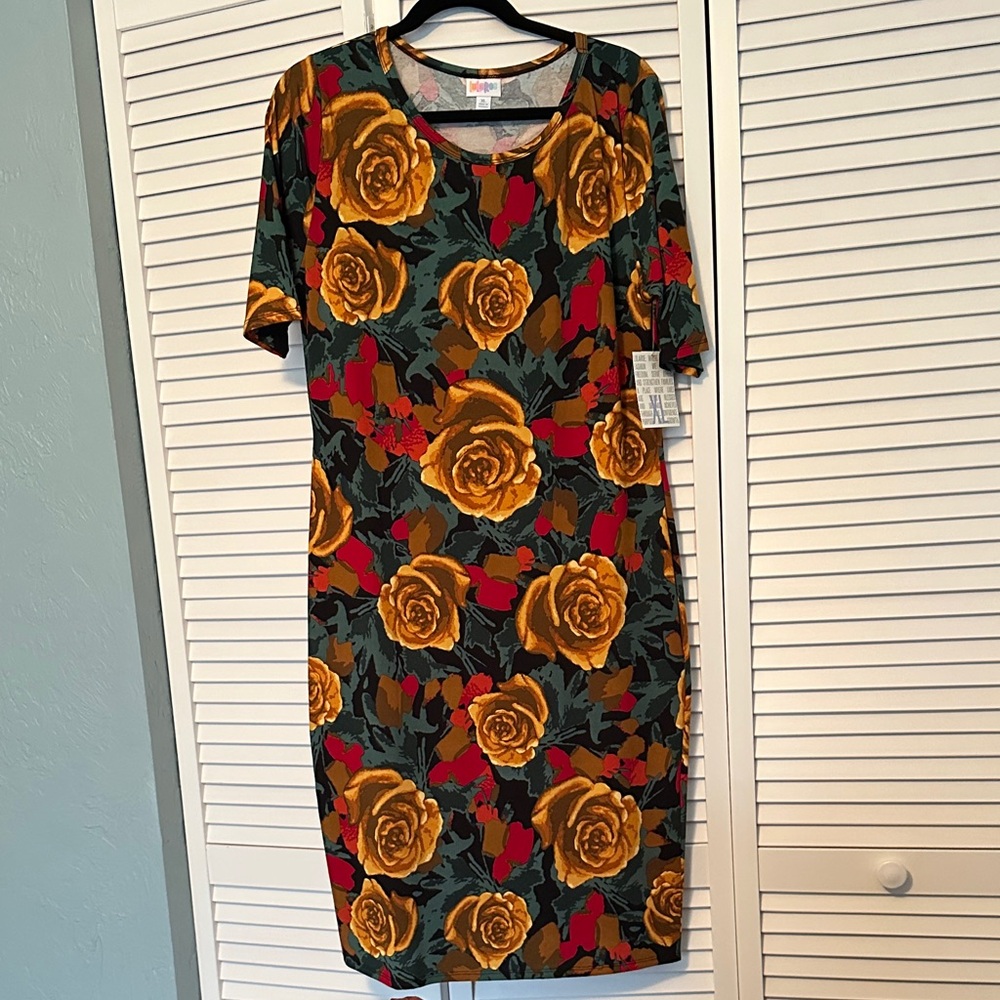 LuLaRoe Julia dress